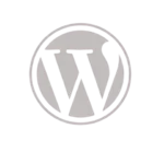 Wordpress Tool Used By Freelance Digital Marketing Analyst in Abu Dhabi
